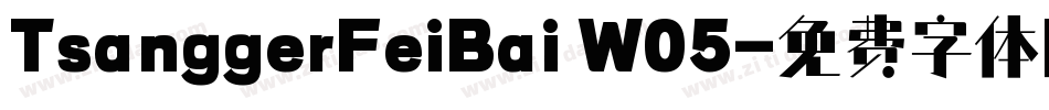 TsanggerFeiBai W05字体转换